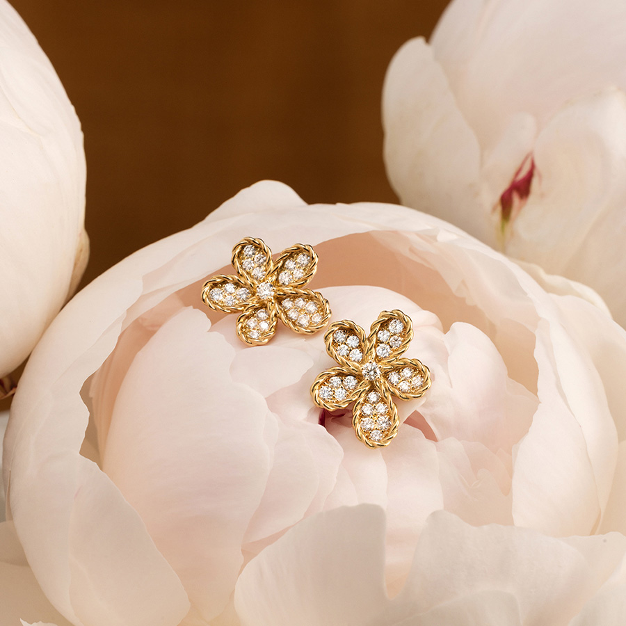 ロベルトコイン ブランドイメージ