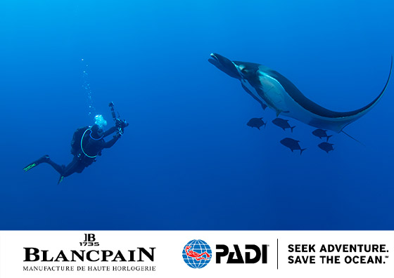 【BLANCPAIN×PADI】2030年までに海洋の30％を保全する活動に貢献